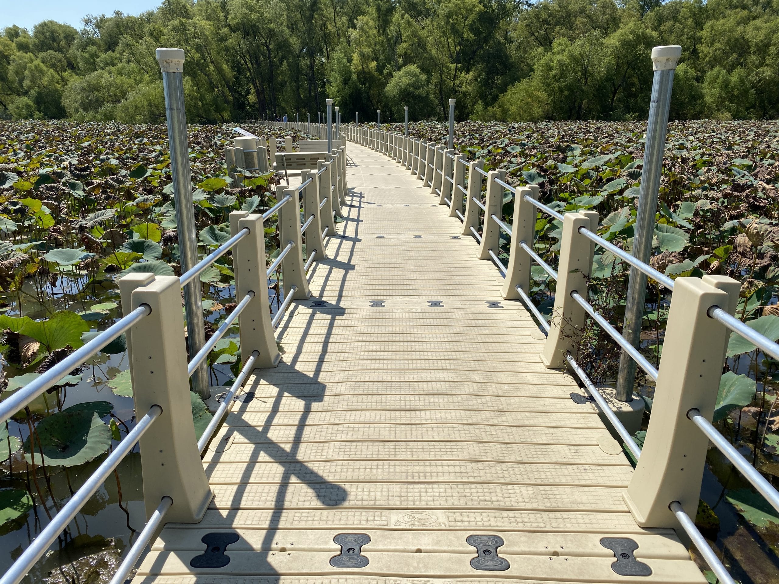 Floating Walkway System
